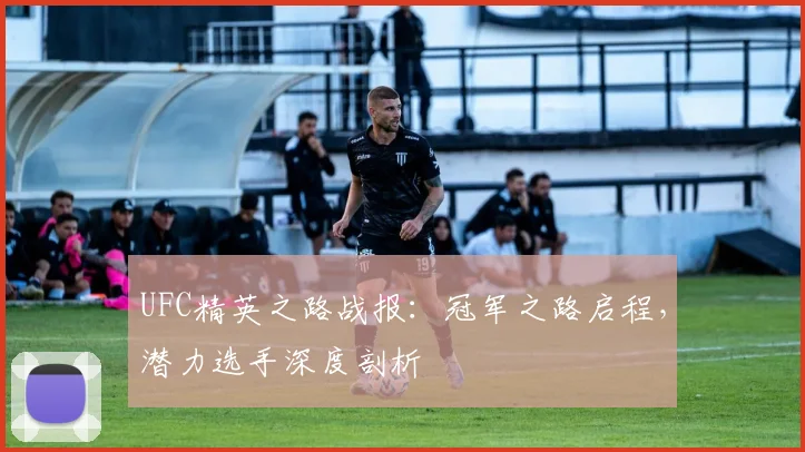 UFC精英之路战报：冠军之路启程，潜力选手深度剖析