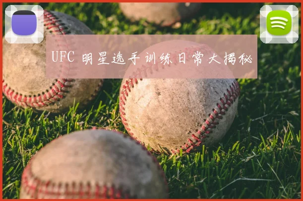 UFC 明星选手训练日常大揭秘