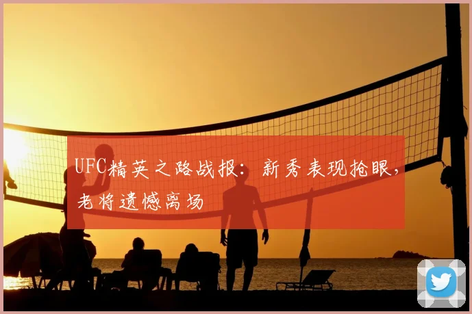 UFC精英之路战报:新秀表现抢眼,老将遗憾离场