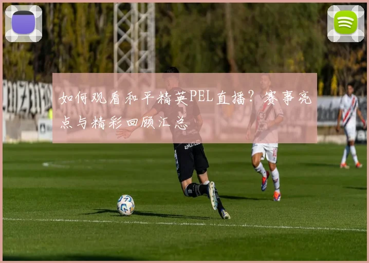 如何观看和平精英PEL直播？赛事亮点与精彩回顾汇总