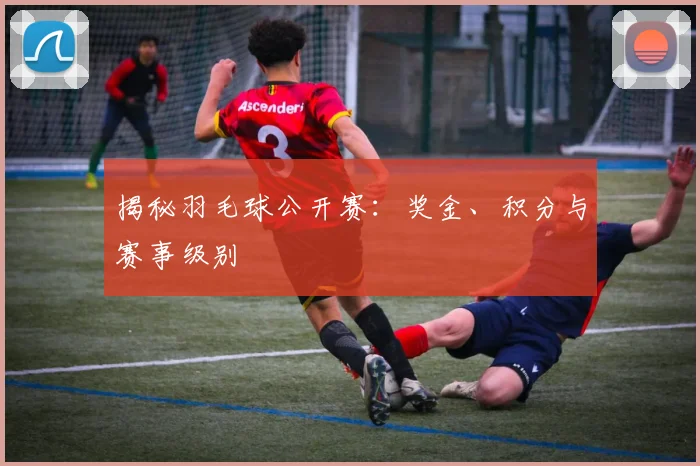 揭秘羽毛球公开赛：奖金、积分与赛事级别