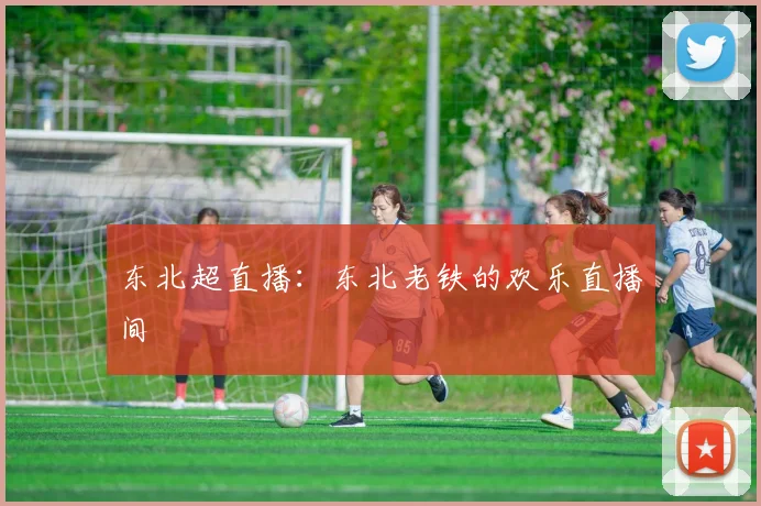 东北超直播：东北老铁的欢乐直播间