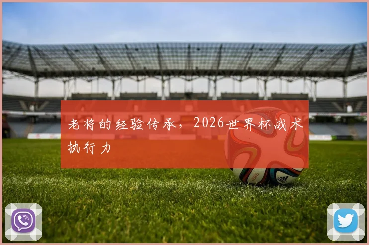 老将的经验传承，2026世界杯战术执行力